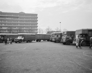 850457 Afbeelding van enkele veetransportwagens op het parkeerterrein bij de Veemarkt (Croeselaan) te Utrecht, kort ...
